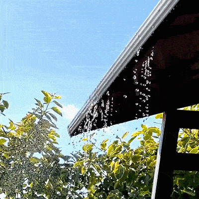 Outdoor Swing